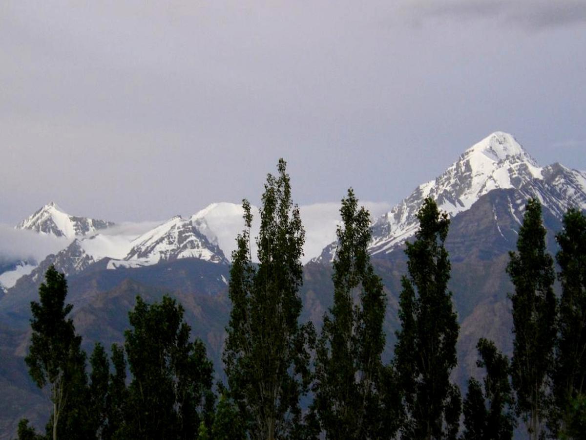 Kidar Otel Leh Dış mekan fotoğraf