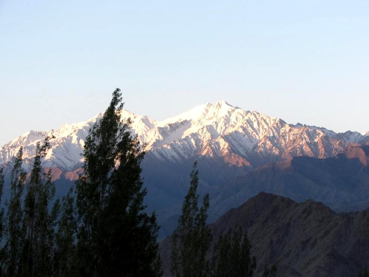 Kidar Otel Leh Dış mekan fotoğraf