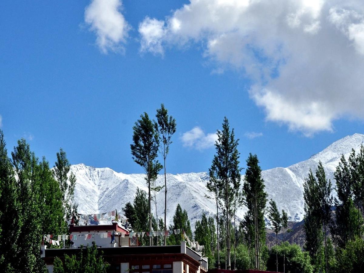 Kidar Otel Leh Dış mekan fotoğraf